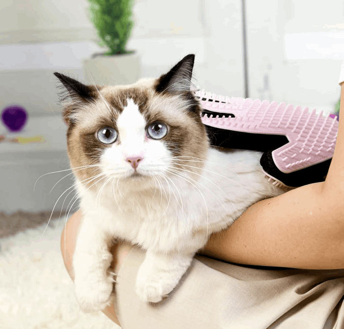 Double-Sided Pet Grooming Glove for Dogs & Cats