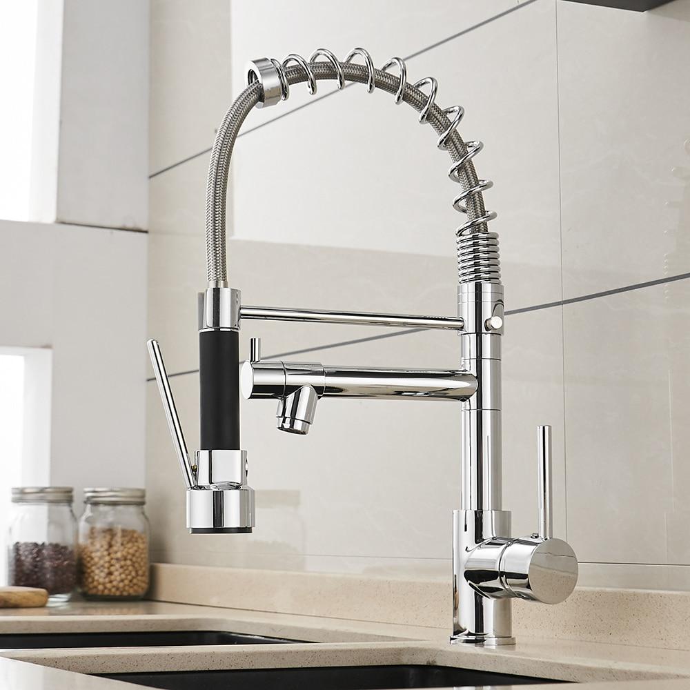 Neil Pull-Down Springs Sprout Kitchen Sink Faucet